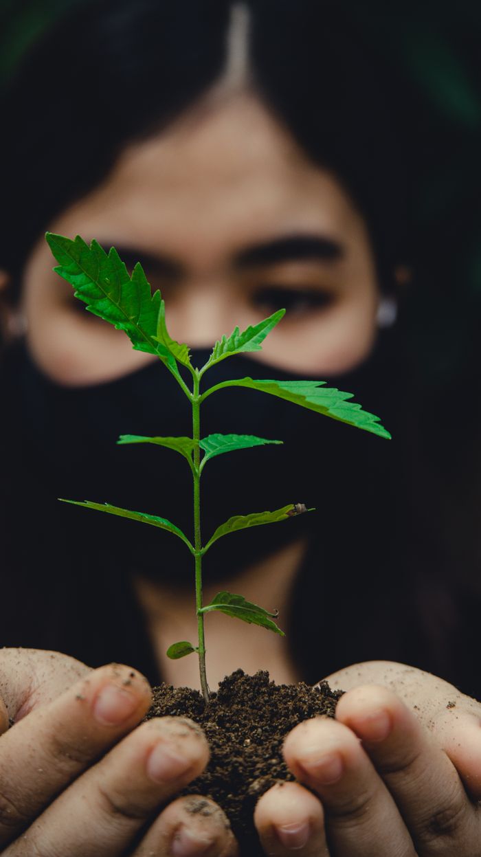 experience-01 A woman wearing a mask holds a young seedling, symbolizing growth and environmental care.