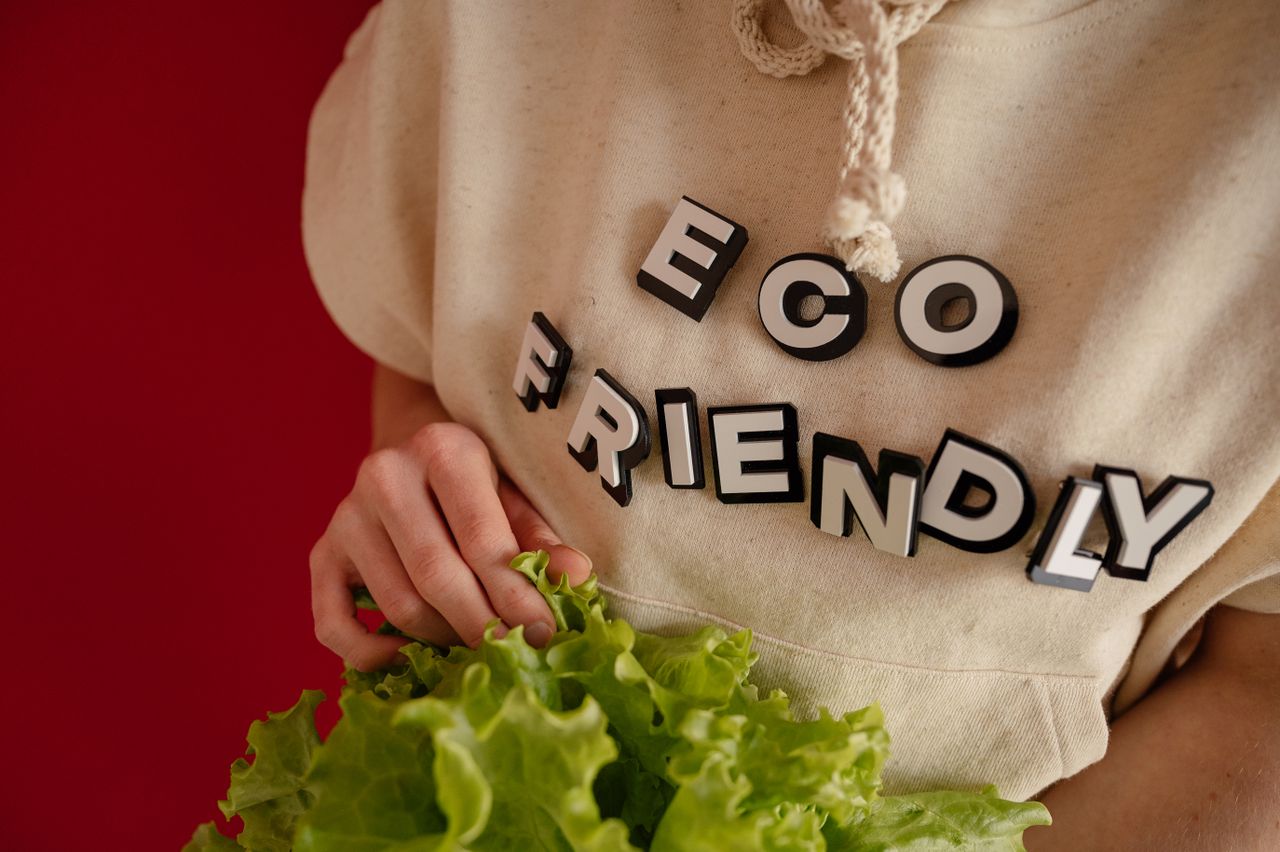 Person wearing an 'eco friendly' hoodie holding fresh green lettuce against a red background.